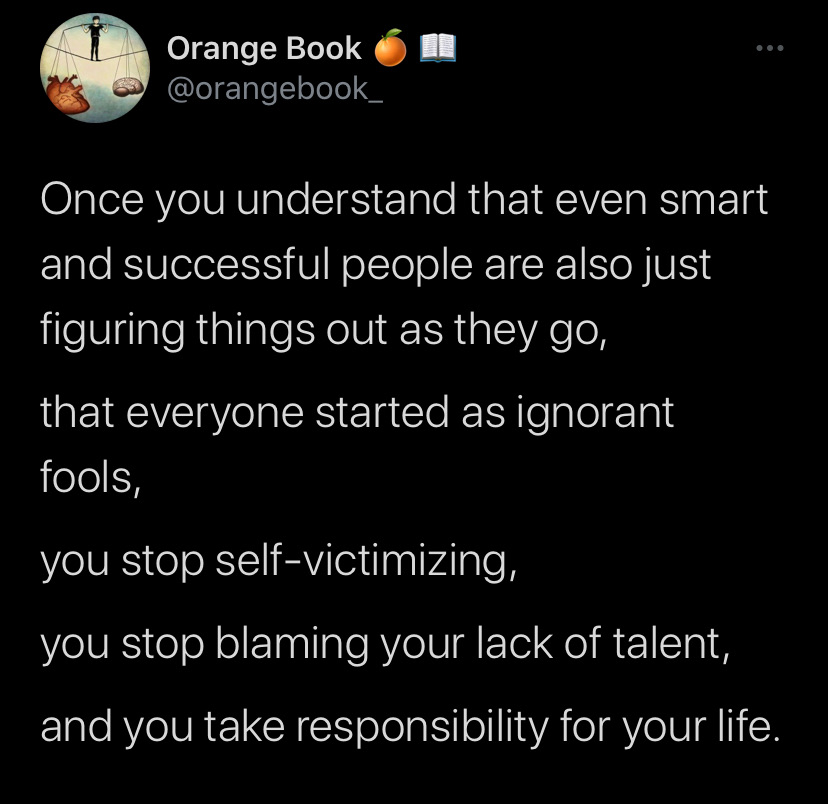 Once you understand that even smart and successful people are also just figuring things out as they go, that everyone started as ignorant fools, you stop self-victimizing, you stop blaming your lack of talent, and you take responsibility for your life.