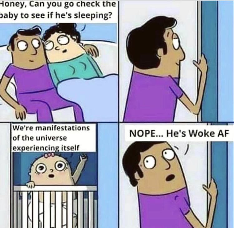 honey, can you go check the baby to see if he's sleeping?
we're manifestations of the universe experiencing itself
nope...he's woke af
spiritual memes woke memes